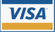 icon visa